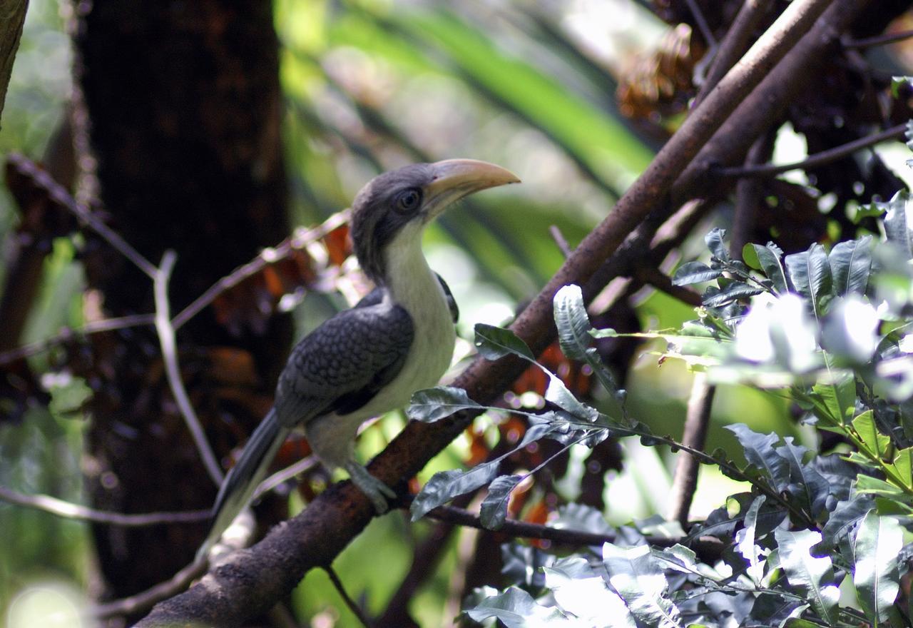 Evergreen Kandy Bagian luar foto